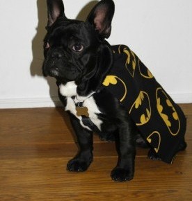WTFSG-lazy-oaf-x-batman-behind-the-scenes-5