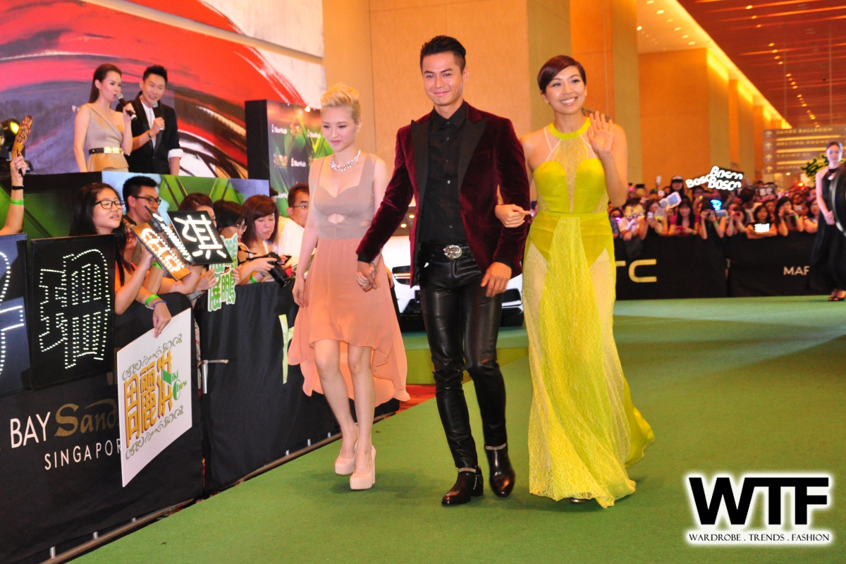 WTFSG-Starhub-TVB-Awards-2013-1