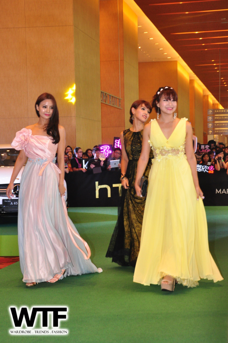 WTFSG-Starhub-TVB-Awards-2013-10