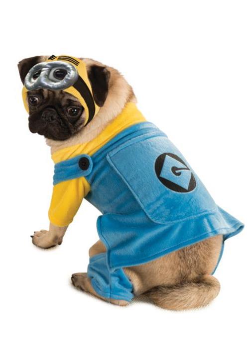 WTFSG-minion-dog-costume