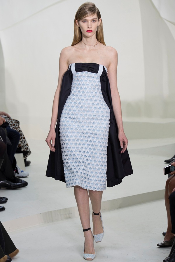WTFSG-haute-couture-week-2014-christian-dior-spring-16