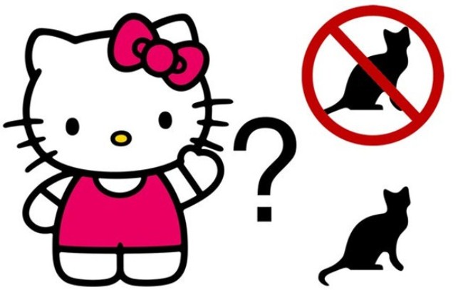 Hello Kitty is not a cat, creators say. So what is she? 