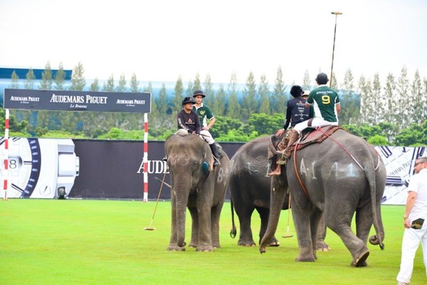 WTFSG_audemars-piguet-2014-kings-cup-elephant-polo-tournament_1