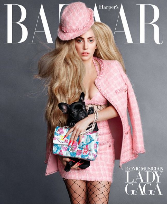 WTFSG_harpers-bazaar-september-2014-cover_lady-gaga