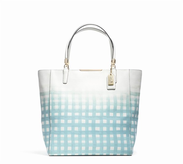 WTFSG_coach_spring-2014_gingham-saffiano-tote_ns