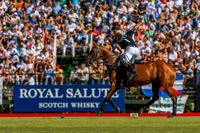 WTFSG_ellerstina-wins-2012-argentine-open_5