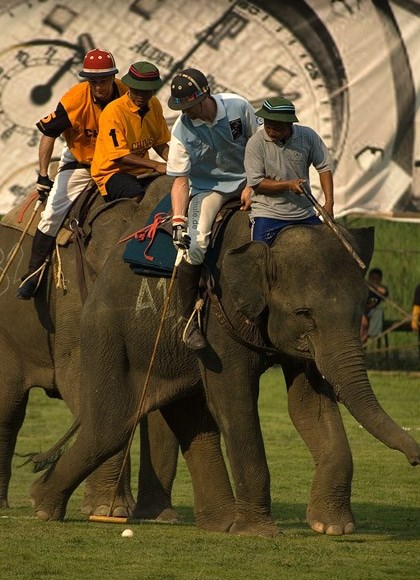 Audemars Piguet Trots Into Horse Polo