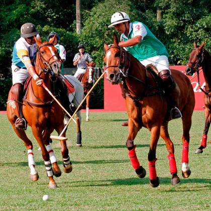 WTFSG_audemars-piguet-trots-into-horse-polo_3