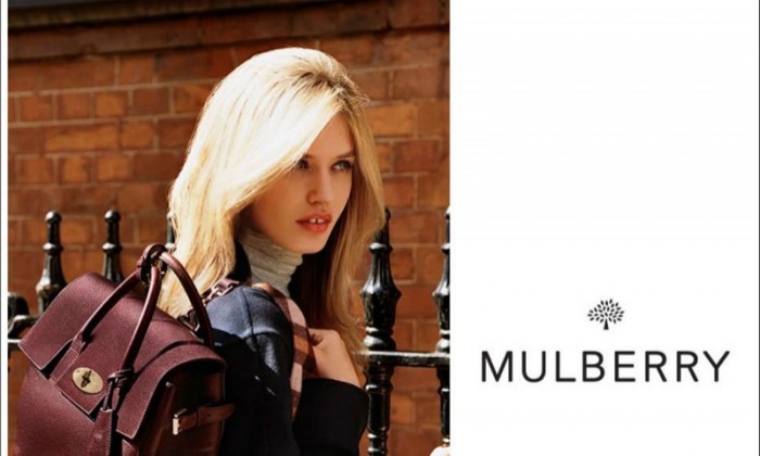 WTFSG_mulberry-fall-2015_1