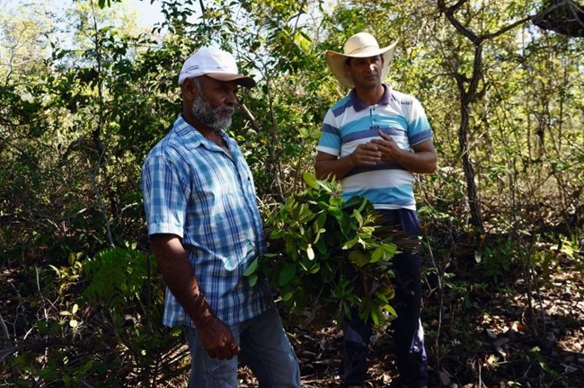 WTFSG_the-audemars-piguet-foundation-finances-programme-for-farmers-in-brazil_3