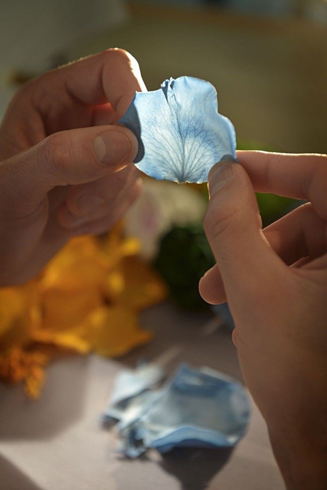 WTFSG_ballon-bleu-de-cartier-floral-marquetry-parrot_4