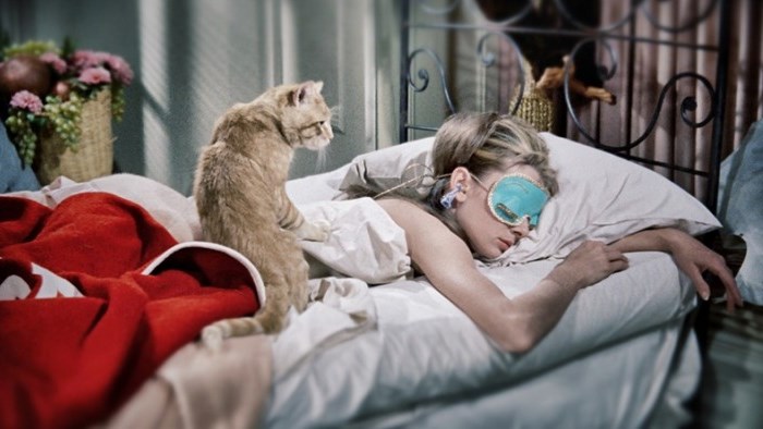 WTFSG_audrey-hepburn-cat-breakfast-tiffanys-sleeping