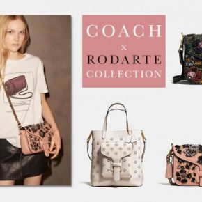 coach rodarte bag